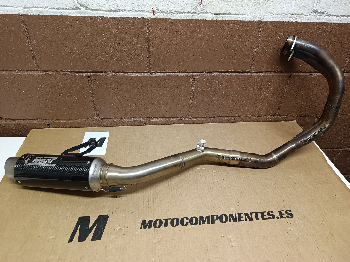 ESCAPE Mivv GP Pro Carbono KAWASAKI Z 650
