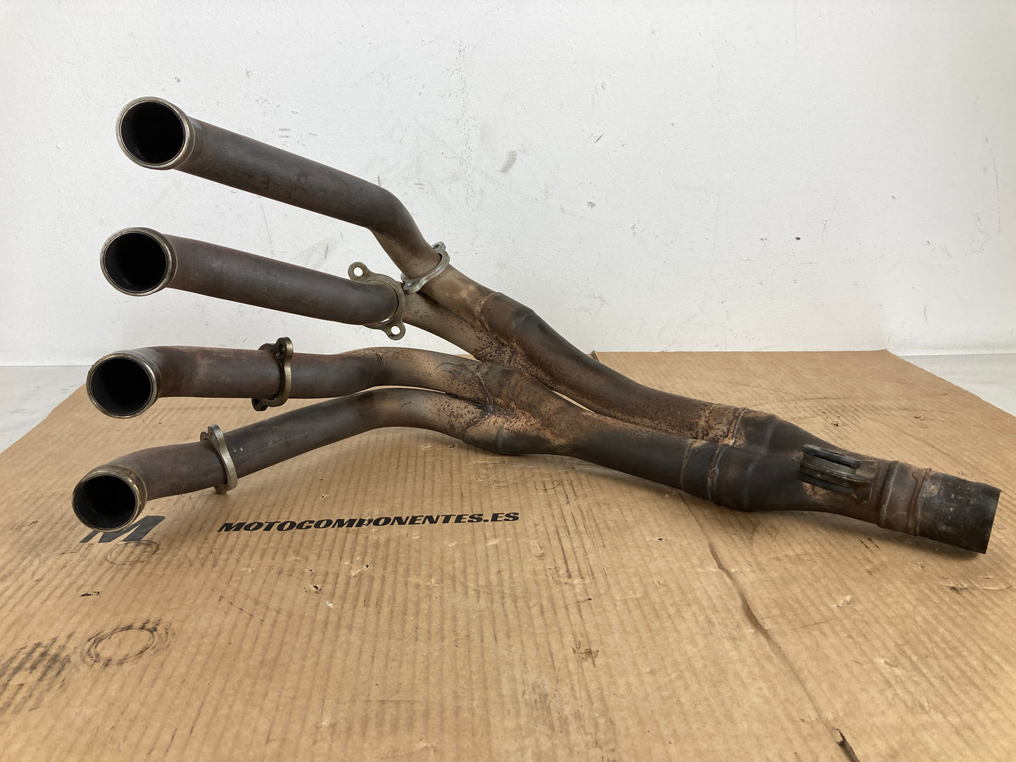 COLECTOR  HONDA CBR1000RR