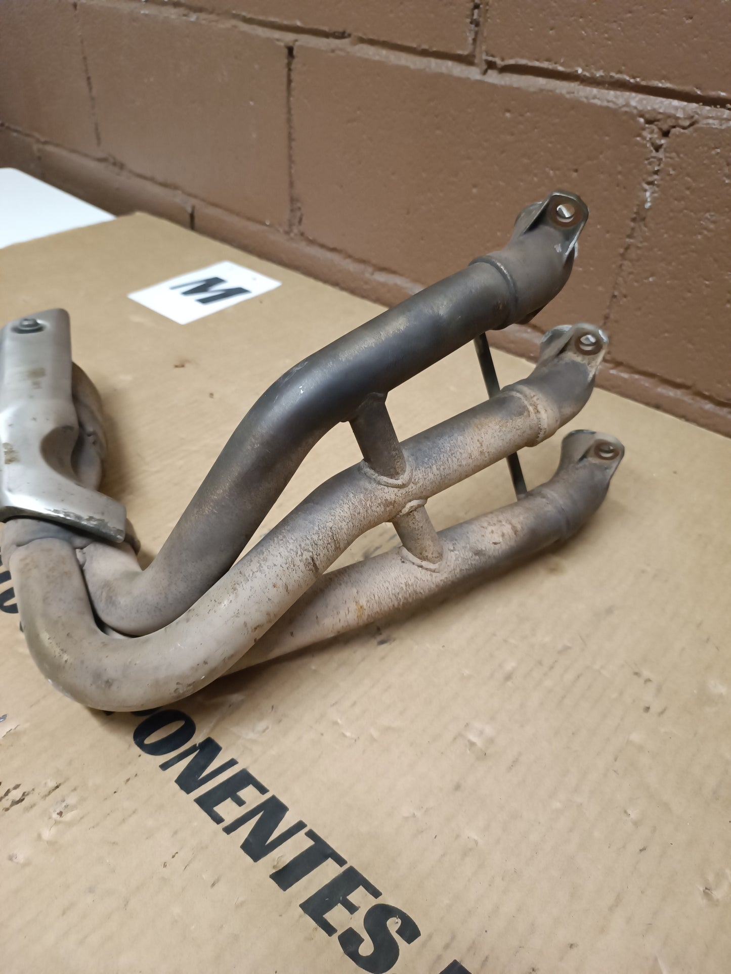 COLECTOR  TRIUMPH Street Triple 675